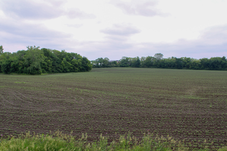 Land For Sale In Johnson County, MO - image 10