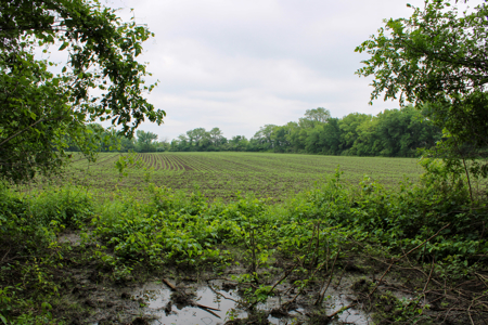 Land For Sale In Johnson County, MO - image 35