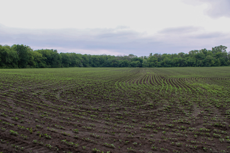 Land For Sale In Johnson County, MO - image 8