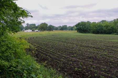 Land For Sale In Johnson County, MO - image 23