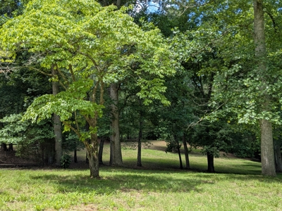 To be Built House on Land in Ball Ground GA - image 46