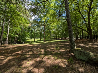 To be Built House on Land in Ball Ground GA - image 48