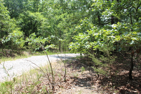 Residential Lot on Bull Shoals Lake Peninsula with Airstrip - image 10