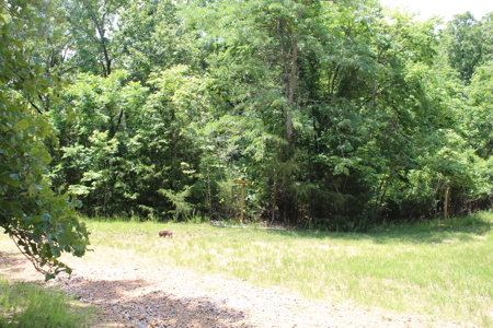 Residential Lot on Bull Shoals Lake Peninsula with Airstrip - image 8