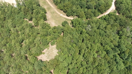Residential Lot on Bull Shoals Lake Peninsula with Airstrip - image 4