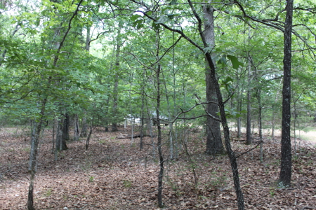Residential Lot on Bull Shoals Lake Peninsula with Airstrip - image 16