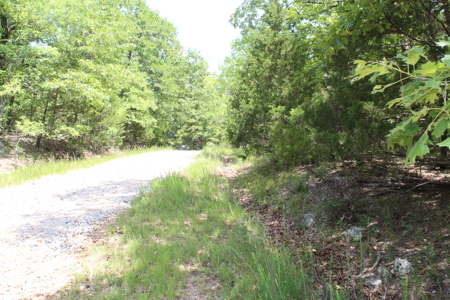 Residential Lot on Bull Shoals Lake Peninsula with Airstrip - image 9