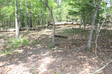 Residential Lot on Bull Shoals Lake Peninsula with Airstrip - image 20