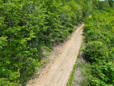Prime Nelson County Land: Virginia's Natural Beauty - image 11