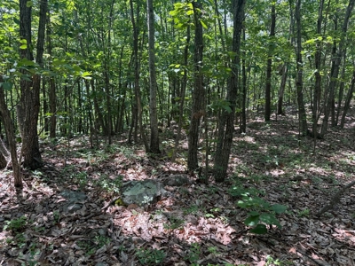 Prime Nelson County Land: Virginia's Natural Beauty - image 14