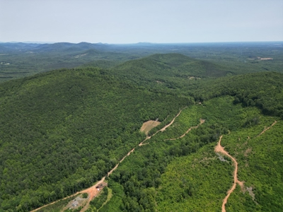 Prime Nelson County Land: Virginia's Natural Beauty - image 2