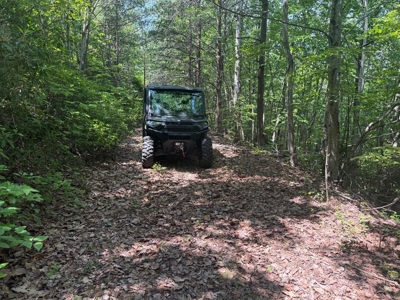 Prime Nelson County Land: Virginia's Natural Beauty - image 17