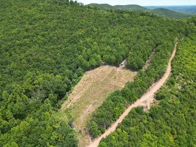 Prime Nelson County Land: Virginia's Natural Beauty - image 9