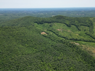 Prime Nelson County Land: Virginia's Natural Beauty - image 4
