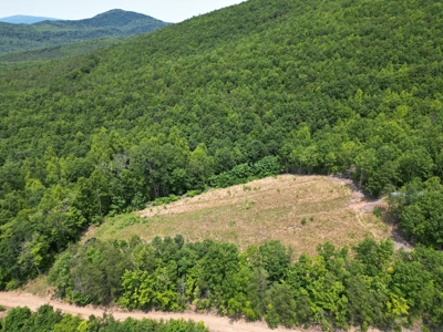 Prime Nelson County Land: Virginia's Natural Beauty - image 6