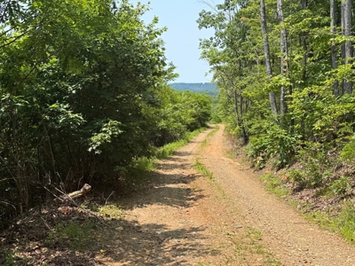 Prime Nelson County Land: Virginia's Natural Beauty - image 20