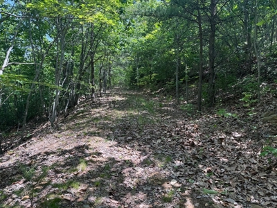Prime Nelson County Land: Virginia's Natural Beauty - image 15
