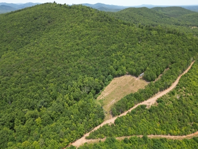 Prime Nelson County Land: Virginia's Natural Beauty - image 10