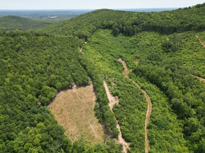 Prime Nelson County Land: Virginia's Natural Beauty - image 8