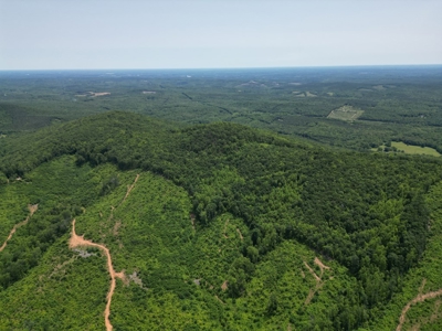 Prime Nelson County Land: Virginia's Natural Beauty - image 3