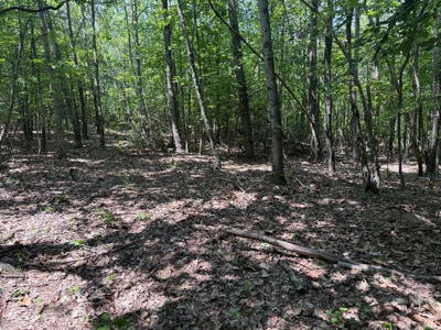 Prime Nelson County Land: Virginia's Natural Beauty - image 13