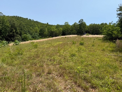 Prime Nelson County Land: Virginia's Natural Beauty - image 22