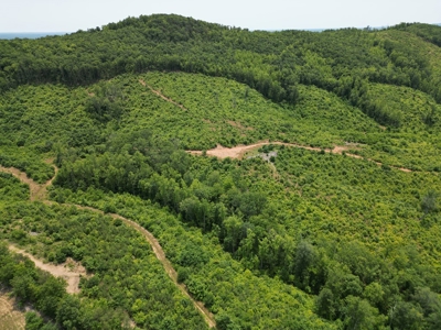 Prime Nelson County Land: Virginia's Natural Beauty - image 7