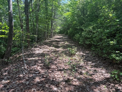 Prime Nelson County Land: Virginia's Natural Beauty - image 16