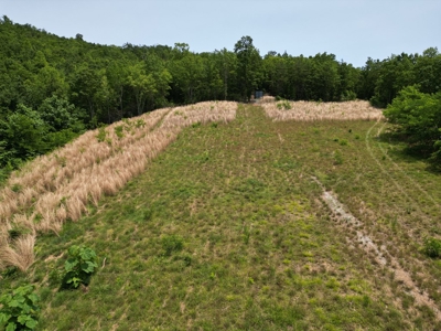 Prime Nelson County Land: Virginia's Natural Beauty - image 5