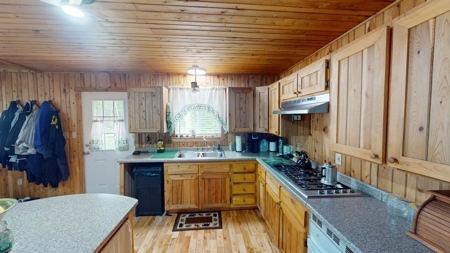 Private Lakefront Cabin Retreat on Upper Pug Lake - image 18