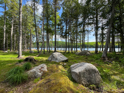 Private Lakefront Cabin Retreat on Upper Pug Lake - image 14