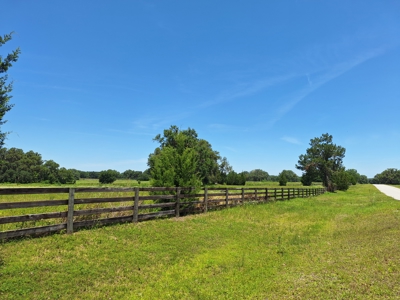 10 Acres For Your Country Estate Or Horse Farm Near Ocala, Fl - image 4