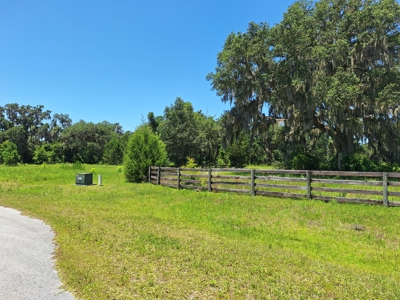 10 Acres For Your Country Estate Or Horse Farm Near Ocala, Fl - image 11