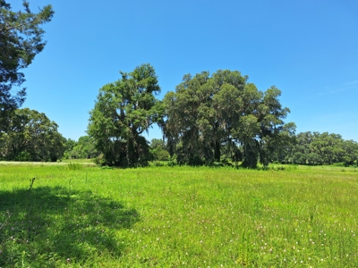 10 Acres For Your Country Estate Or Horse Farm Near Ocala, Fl - image 1