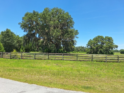 10 Acres For Your Country Estate Or Horse Farm Near Ocala, Fl - image 9