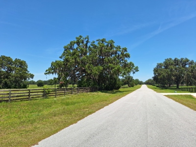 10 Acres For Your Country Estate Or Horse Farm Near Ocala, Fl - image 10