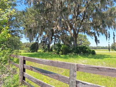 10 Acres For Your Country Estate Or Horse Farm Near Ocala, Fl - image 8