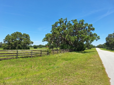 10 Acres For Your Country Estate Or Horse Farm Near Ocala, Fl - image 12