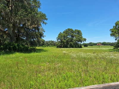 10 Acres For Your Country Estate Or Horse Farm Near Ocala, Fl - image 14