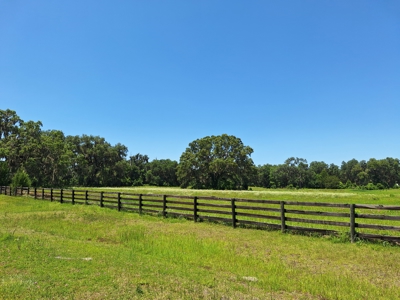 10 Acres For Your Country Estate Or Horse Farm Near Ocala, Fl - image 3