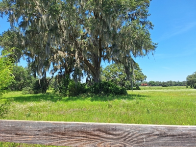 10 Acres For Your Country Estate Or Horse Farm Near Ocala, Fl - image 7