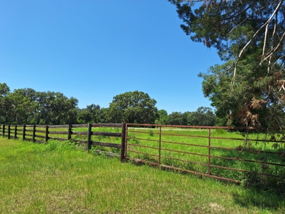10 Acres For Your Country Estate Or Horse Farm Near Ocala, Fl - image 2