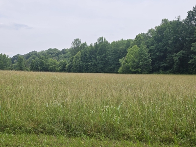 Prime 47.59 Acres Hunting/Recreational Land, Waterfront Borders - image 8