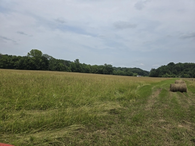 Prime 47.59 Acres Hunting/Recreational Land, Waterfront Borders - image 10