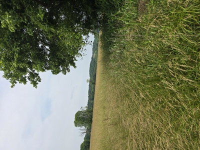 Prime 47.59 Acres Hunting/Recreational Land, Waterfront Borders - image 21