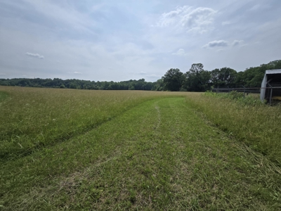 Prime 47.59 Acres Hunting/Recreational Land, Waterfront Borders - image 13
