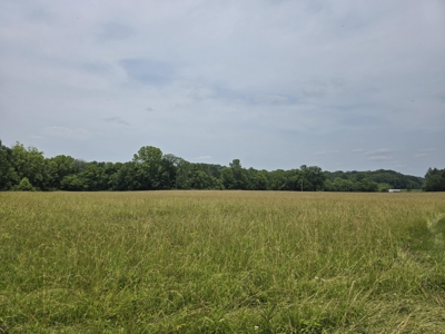 Prime 47.59 Acres Hunting/Recreational Land, Waterfront Borders - image 5