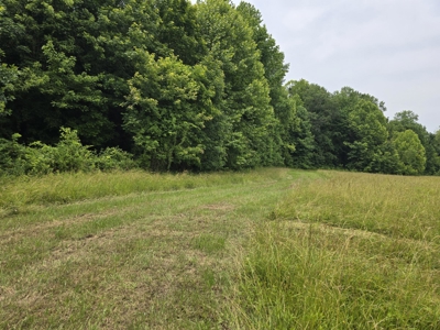 Prime 47.59 Acres Hunting/Recreational Land, Waterfront Borders - image 4