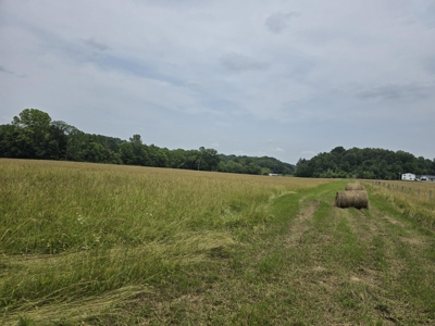 Prime 47.59 Acres Hunting/Recreational Land, Waterfront Borders - image 3