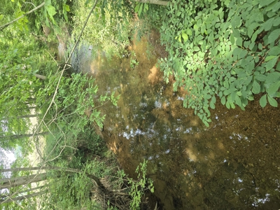 Prime 47.59 Acres Hunting/Recreational Land, Waterfront Borders - image 2